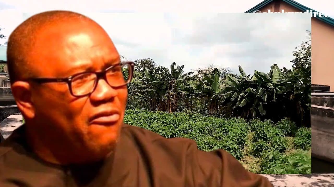 Anambra State Documentary 2013 - Governor Peter Obi